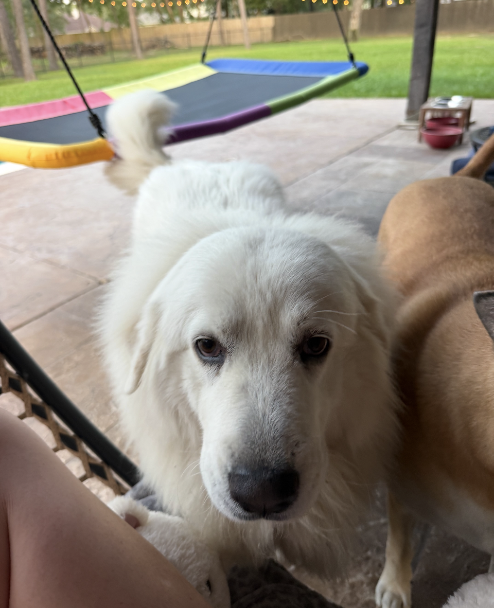 Lumi